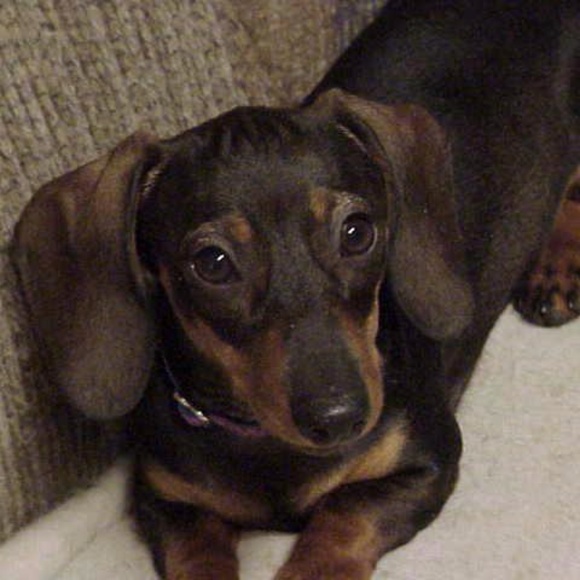 Meet your Posher, Ruth - Picture 4 of 16